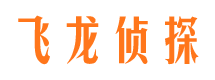 赤坎市私家调查